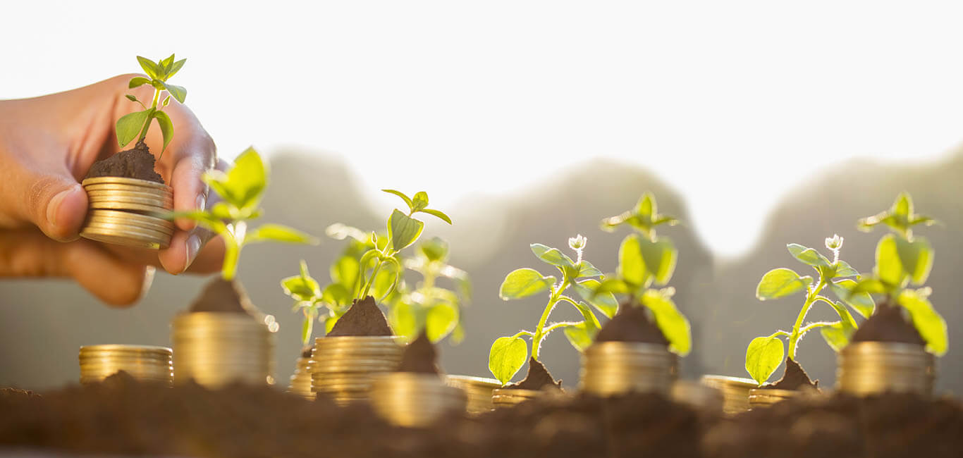 the-top-7-benefits-of-investing-in-a-plot-of-land